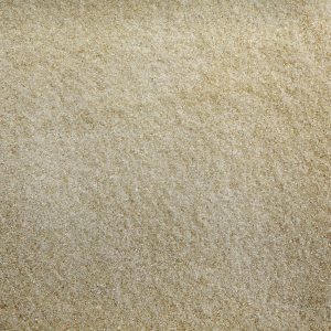 ORGANIC SUGAR, evaporated cane juice, golden